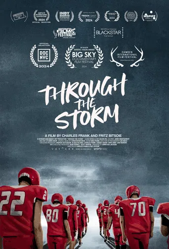 Through the Storm poster