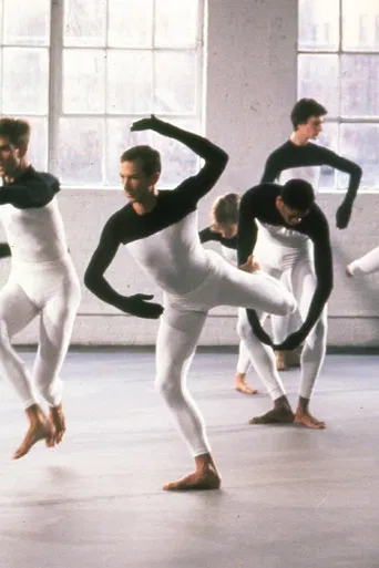 Beach Birds for Camera poster