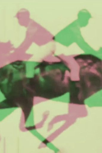 Muybridge's Horse poster