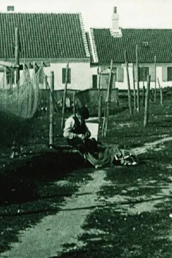 At the Sea Shore poster