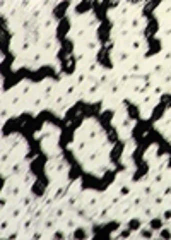 Lift Little Tokyo poster