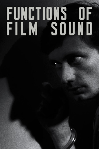 Functions of Film Sound poster