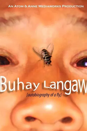 Autobiography of a Fly poster