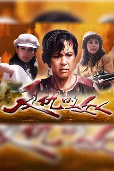复仇的女人 poster