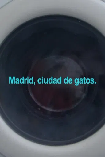 Madrid, City of Cats poster