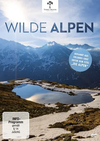 The Alps poster