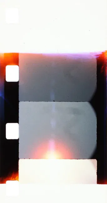 Diaph limite 1,2 Posture d'exil poster