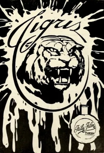 Tigris poster