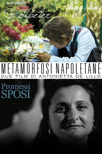Metamorfosi Napoletane poster
