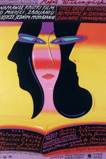 A Really Short Story about Love, Killing and Still Another Feeling poster