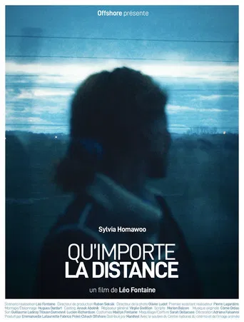 The Distance Between Us poster