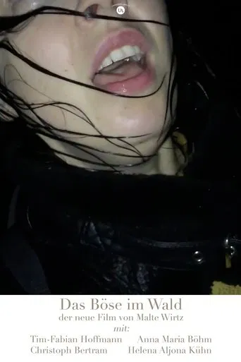 Evil in the Woods poster