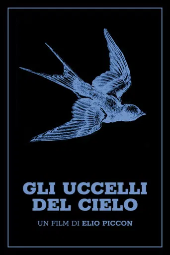 Gli uccelli del cielo poster