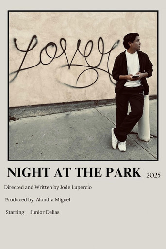 Night at the Park poster