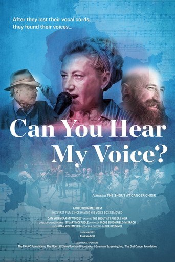 Can You Hear My Voice? poster