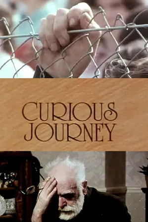 Curious Journey poster