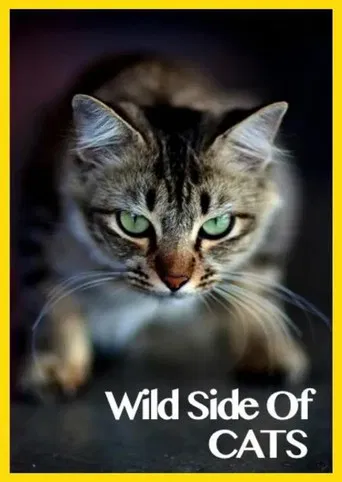 Wild Side of Cats poster