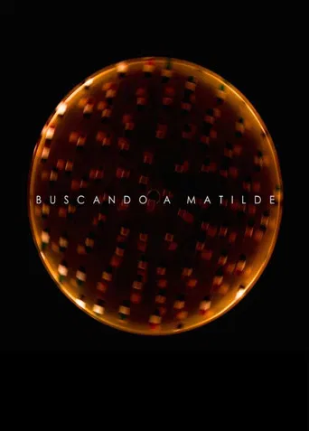 Looking for Matilde poster