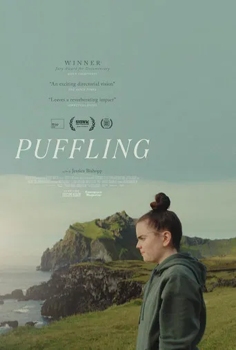 Puffling poster