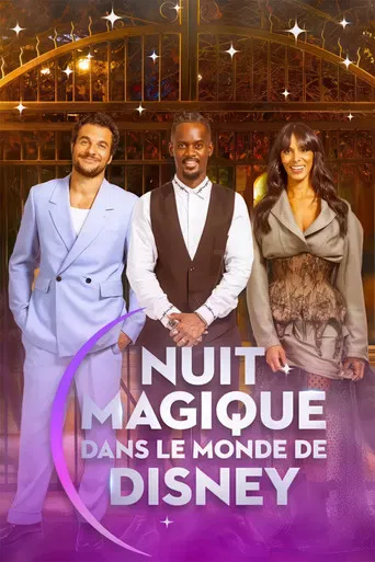 Magical Night in Disney World poster