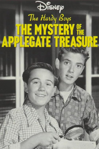 The Hardy Boys: The Mystery of the Applegate Treasure poster