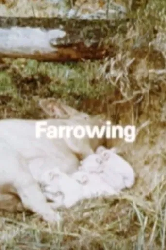 Behavior Of Domestic-Pigs In A Semi-Natural Pig-Park poster