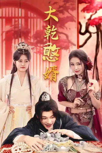 大乾憨婿 poster