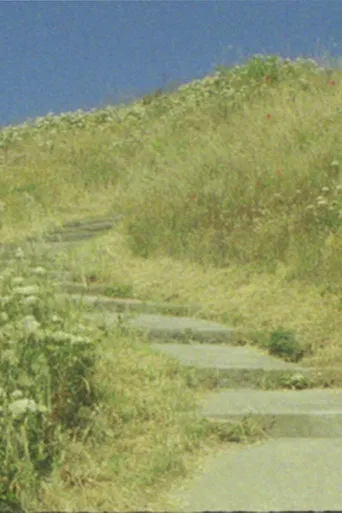 The seagull... and the glory of God poster