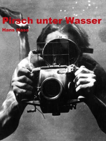 Pirsch unter Wasser poster