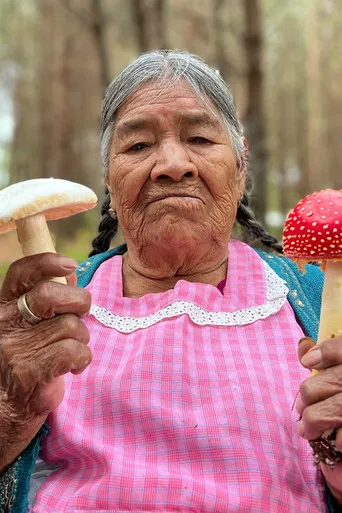 Daughters of the Forest: Mycelium Chronicles poster