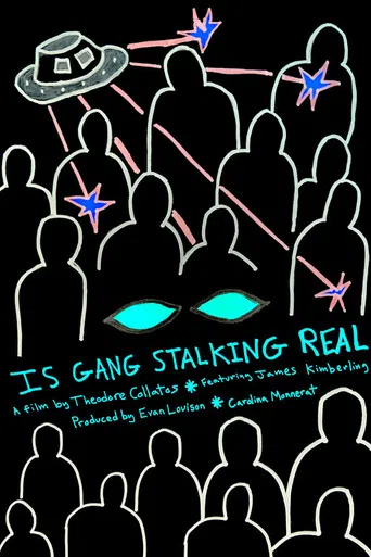 Is Gang Stalking Real poster