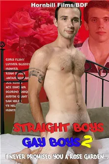 Straight Boys Gay Boys 2: I Never Promised You a Rose Garden poster