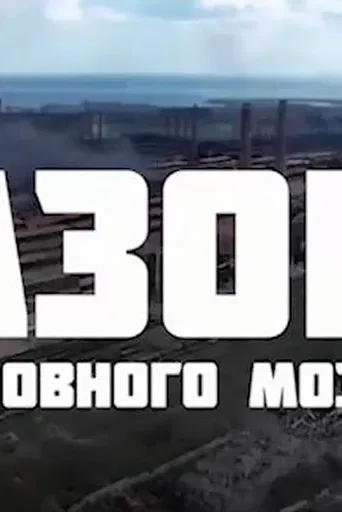 Azov Brain Rot poster