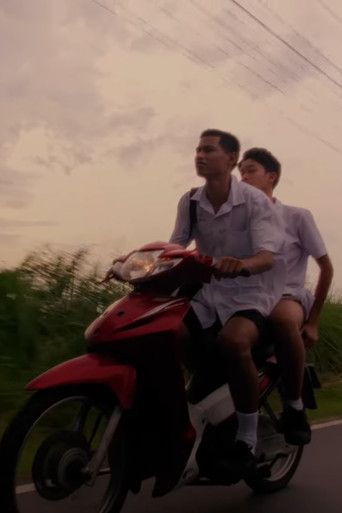 Sperm Budding poster