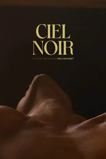 Ciel noir poster