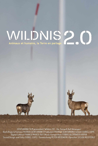 Wildnis 2.0 - Die Tierwelt auf Umwegen poster