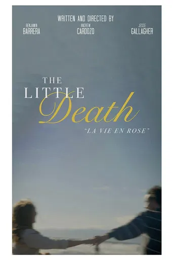The Little Death poster