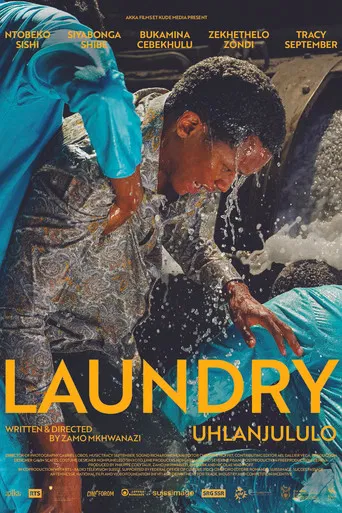 Laundry poster