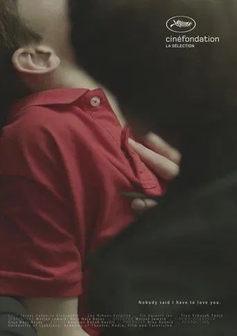 Nobody Said I Have to Love You poster