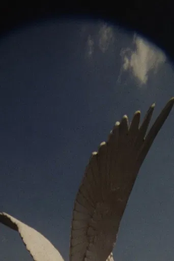 The House, The True One and The One That Follows, Is Yet to be Built poster