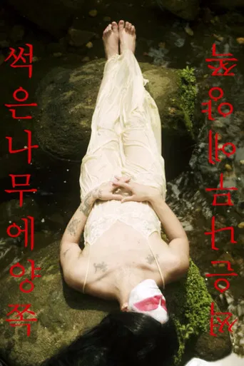 Two Sides of the Rotted Wood poster