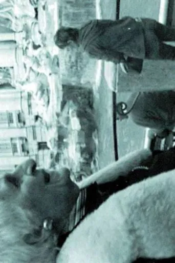 THE INTERPRETER OF BLACK AND WHITE FILMS poster