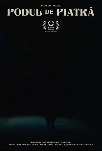 The Stone Bridge poster