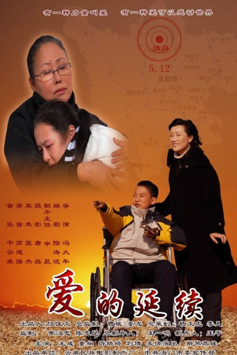 爱的延续 poster