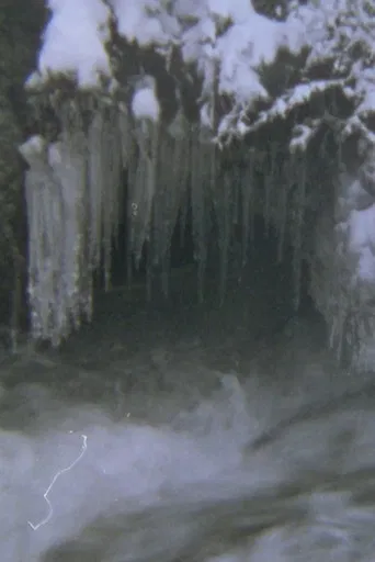 Valle De Lobos poster