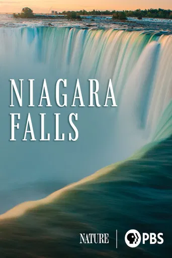 Niagara Falls poster
