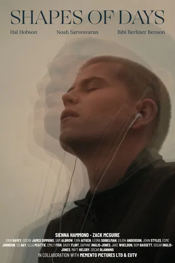 Shapes of Days poster