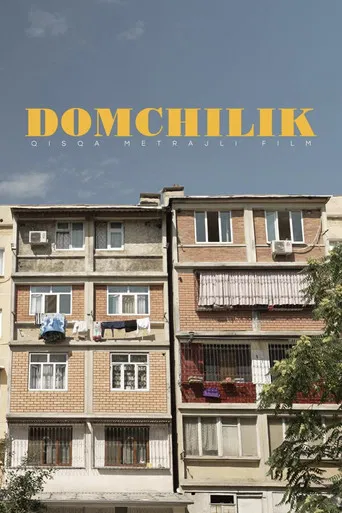 Domchilik poster