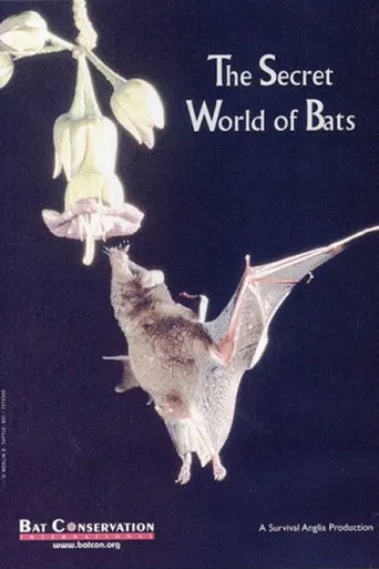 The Secret World Of Bats poster