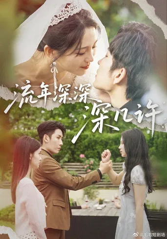 流年深深深几许 poster